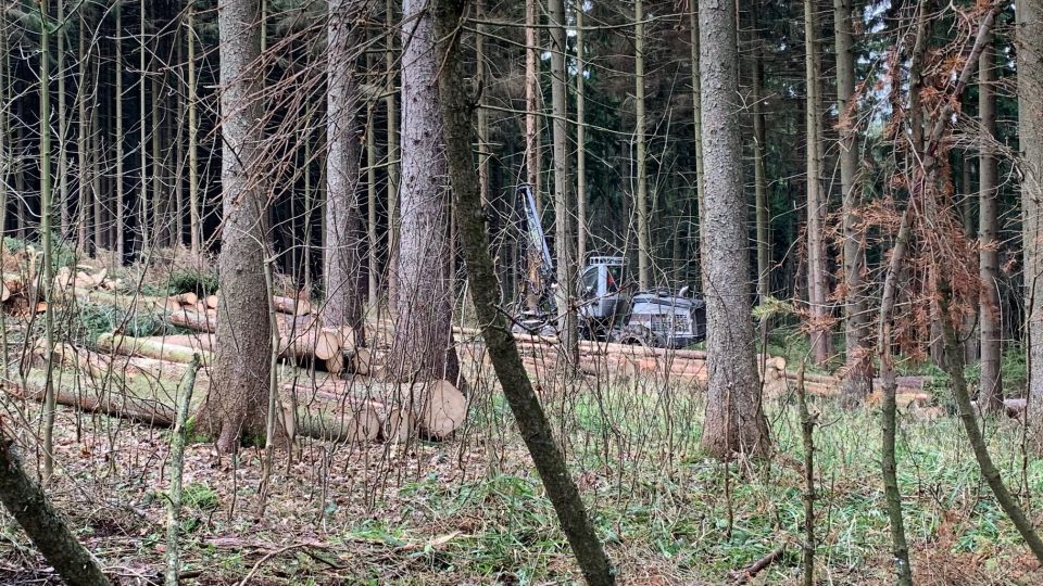 Stolová hora Ostaš v Broumovské vrchovině přijde kvůli kůrovci o podstatnou část svých stromů