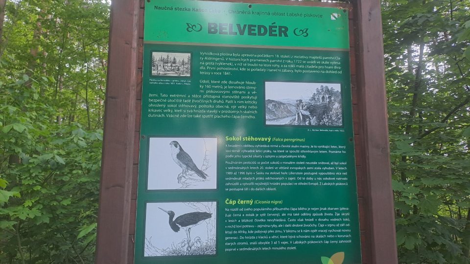 Nejkrásnější pohled na kaňon řeky Labe se turistům otevírá z vyhlídkové plošiny Belveder na Labské stráni