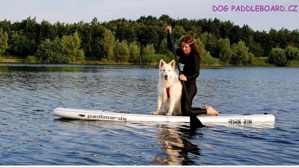 Dog paddleboarding je láska na celý život