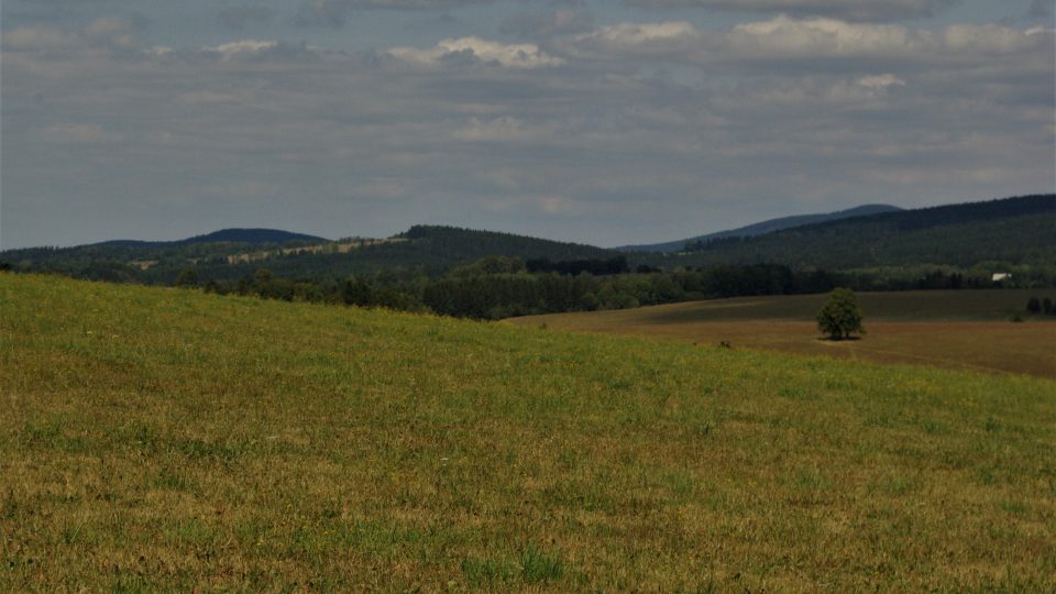 Za humny Rampuše směrem do Orlických hor