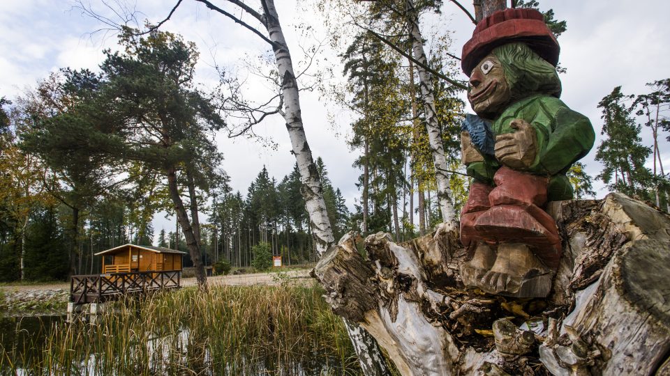 Městské lesy Hradec Králové pečují o přírodu v okolí krajské metropole - rybník Výskyt