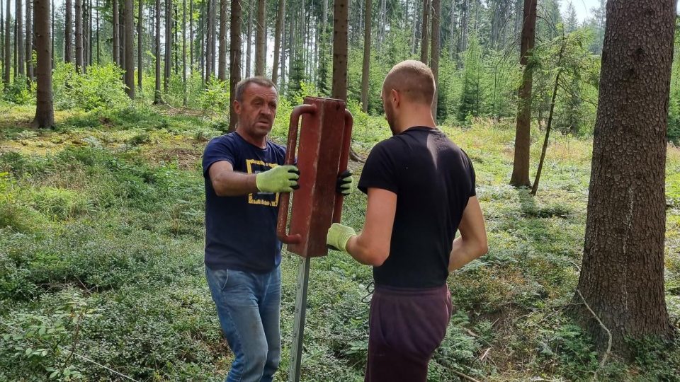 Při návštěvě lesa snad každý zaregistroval oplocená místa. Proč k této ochraně lesníci přistupují?