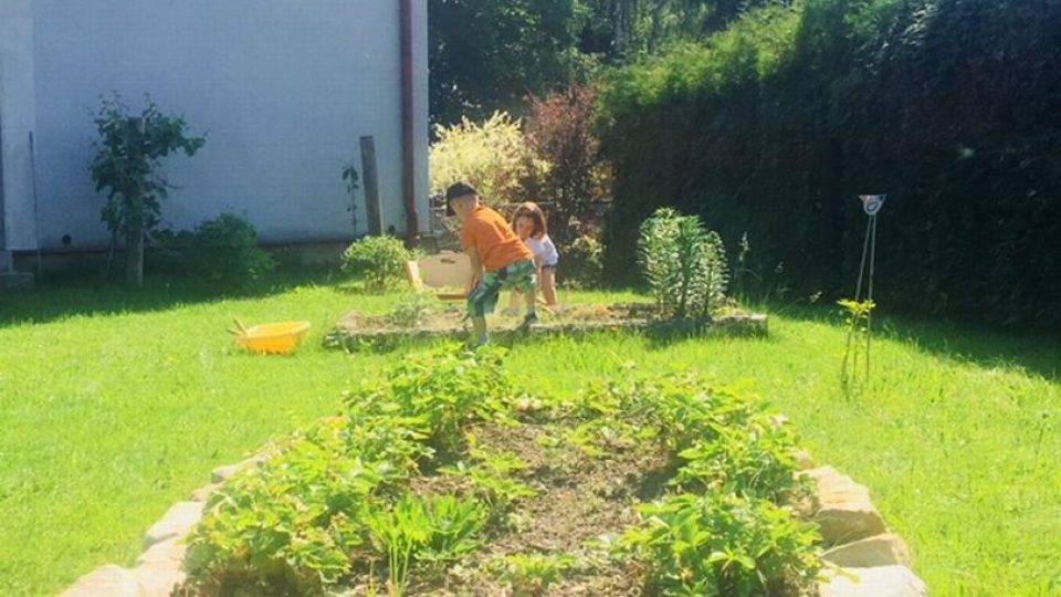 Děti z mateřské školy Lipnice u Dvora Králové si pěstují na vlastní zahrádce jahody a bylinky