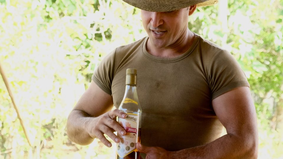 Každá flaška rumu z Rio de Pinar obsahuje jeden plod takzvané guayabity. Kubánci říkají, že pokud vypijete lahev, umíte tančit salsu. Pokud zároveň sníte plod guayabity, učíte tančit salsu ostatní. 20 % alkoholu se totiž vstřebá přímo do tohoto plodu