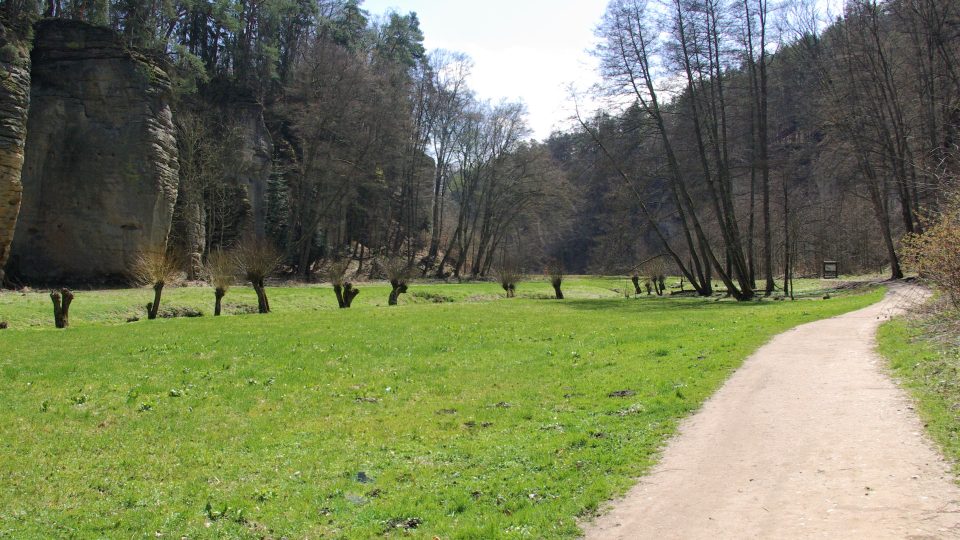 První úsek cesty Plakánkem v těsné blízkosti hradu Kost, kam budou správci rezervace instalovat zákazovou značku pro vjezd kol