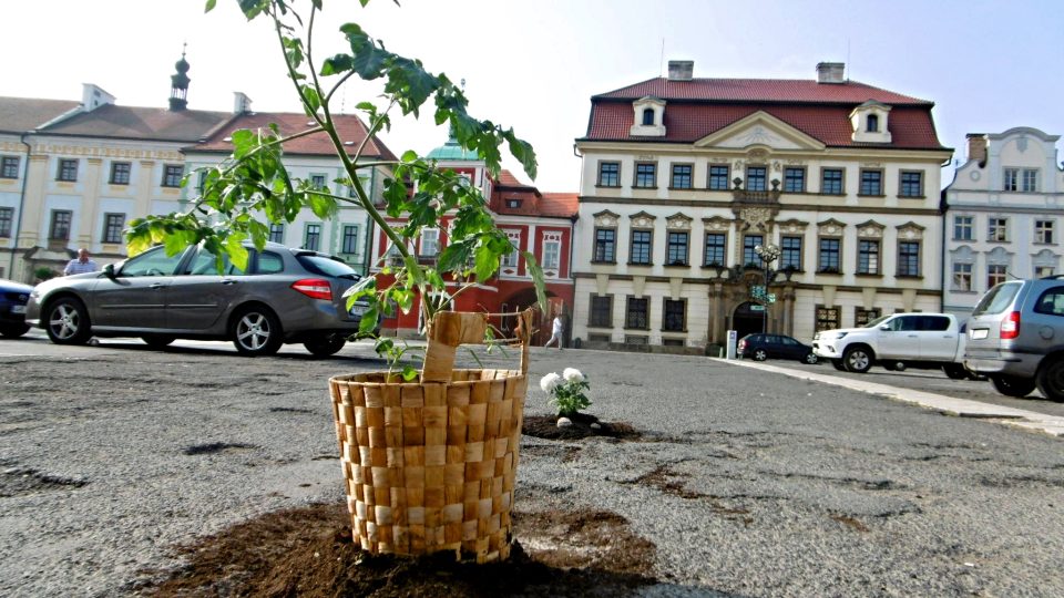 Květiny uprostřed parkoviště na Velkém náměstí v Hradci Králové