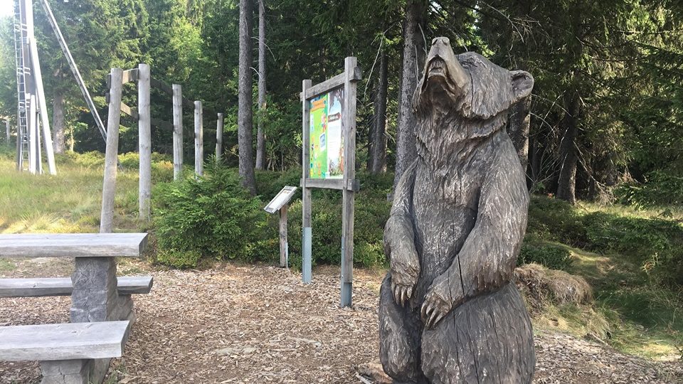 Na Medvědíně ve Špindlerově Mlýně se můžete procházet Medvědí stezkou