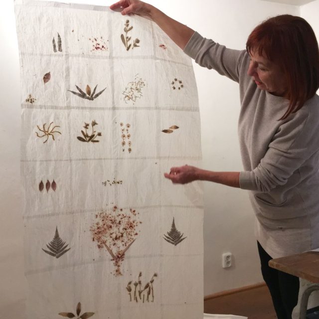 Záclony vzpomínek Ireny Štyrandové | foto: Romana Joudalová,  Český rozhlas