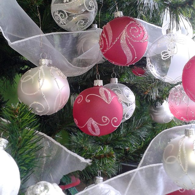 Letos je in růžová | foto: Tereza Brázdová,  Český rozhlas