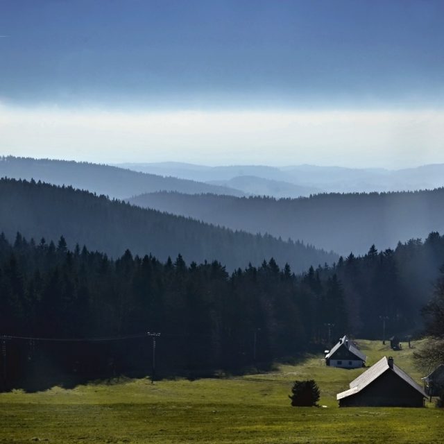 Výhled od Masarykovy chaty | foto: Jiřina Šmídová,  Český rozhlas