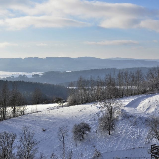 Pohled na Jestřebí hory | foto: Český rozhlas