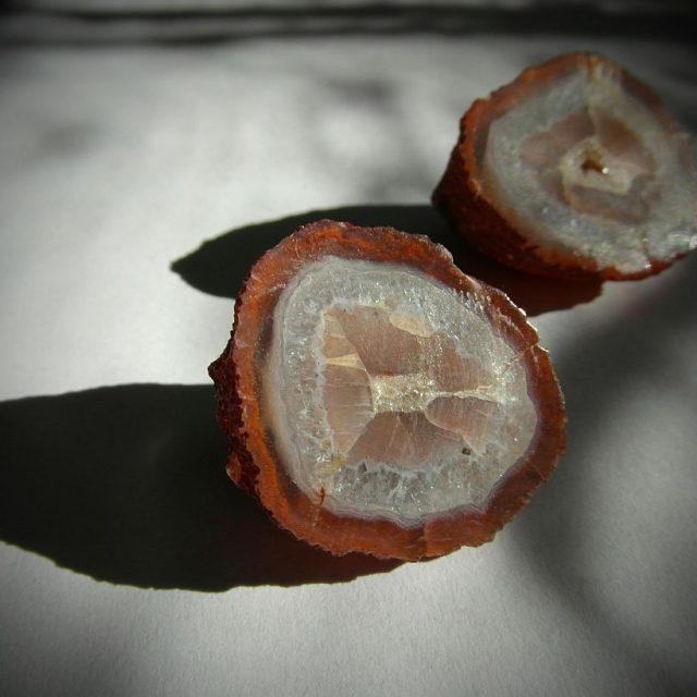 Zkameněliny | foto: Milan Baják,  Český rozhlas