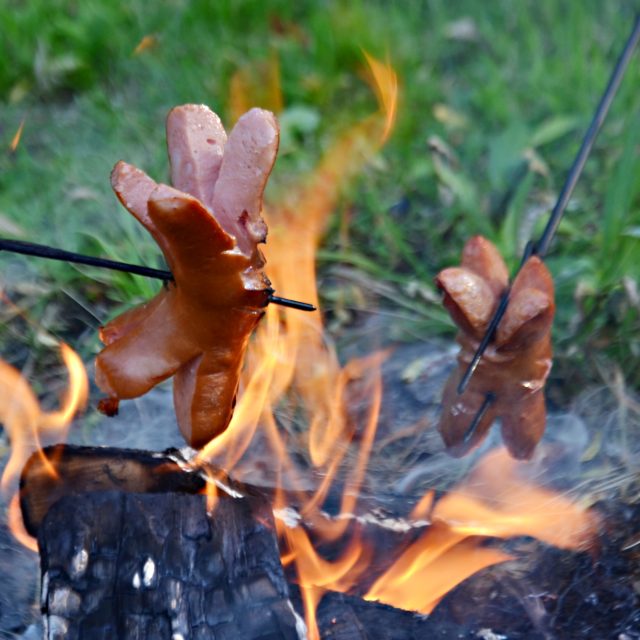 Oheň,  táborák,  kempování,  opékání buřtů,  buřty  (ilustrační foto) | foto: Anna Jadrná,  Český rozhlas
