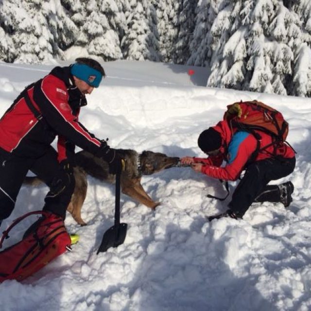 50 horských záchranářů a 25 lavinových psů právě trénují v Krkonoších | foto: Kateřina Kohoutová,  Český rozhlas