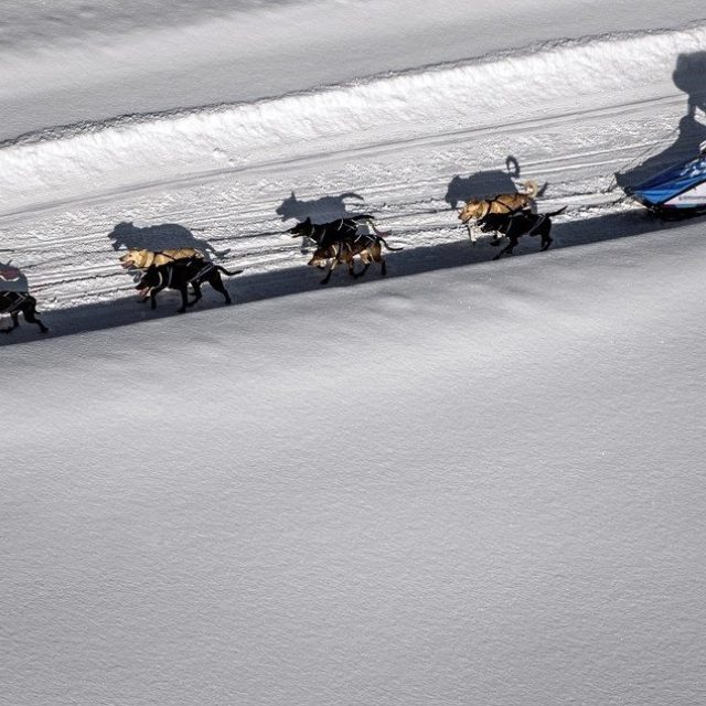 543492_3941164822647_1440357843_n.jpg | foto: Aleš Pícl