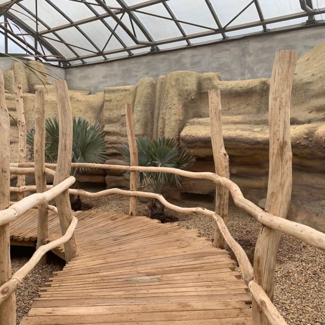 Pavilon Ptačí svět v Safari Parku Dvůr Králové vám přiblíží ostrov Madagaskar | foto: Václav Plecháček,  Český rozhlas