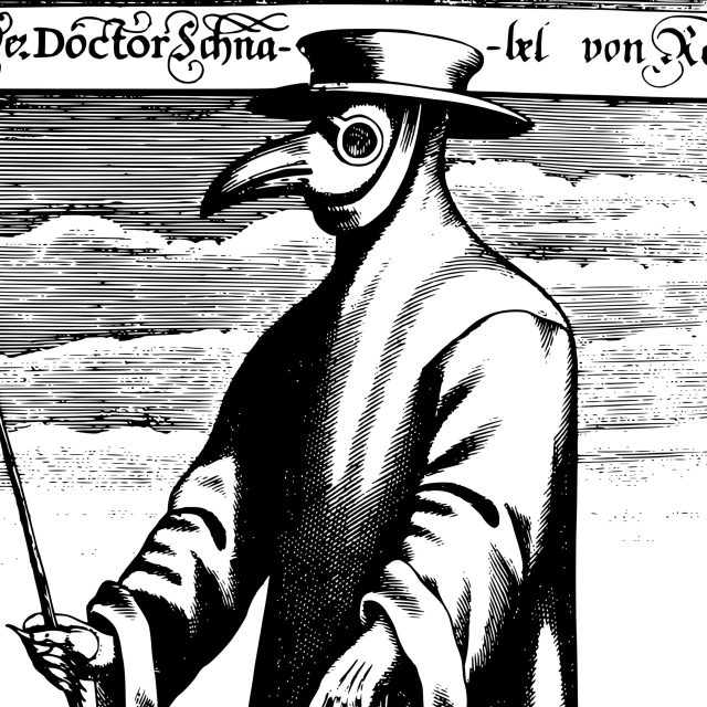 Doktor Mor | foto: Fotobanka Pixabay