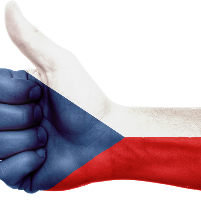 Reprezentace může být různá a také může mít různé výsledky  (ilustrační foto) | foto: Fotobanka Pixabay