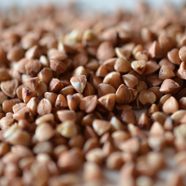 Zrnka pohanky  | foto: Jolana Nováková,  Český rozhlas