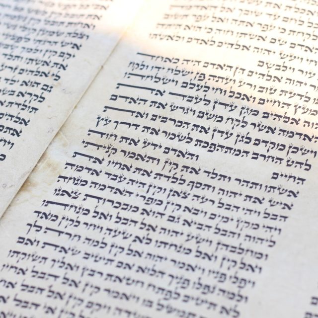 Text Tóry v Malém muzeu Bible | foto: Irena Šarounová,  Český rozhlas