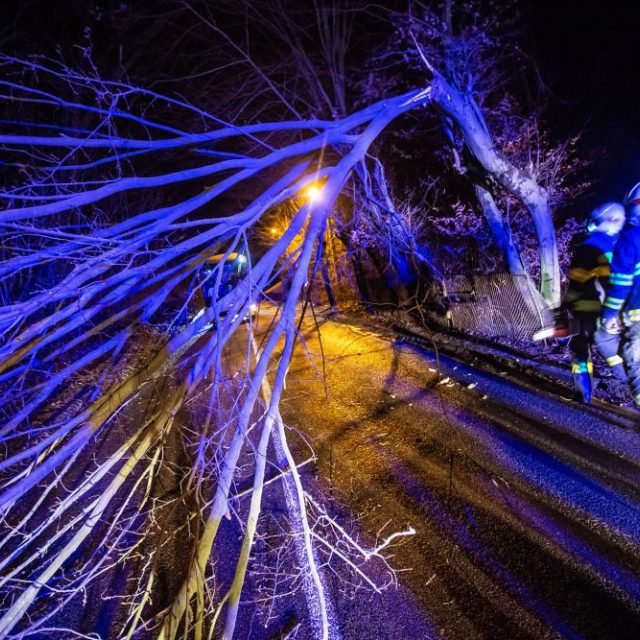 Hasiči v Královéhradeckém kraji odstraňují popadané stromy | foto: HZS Královéhradeckého kraje