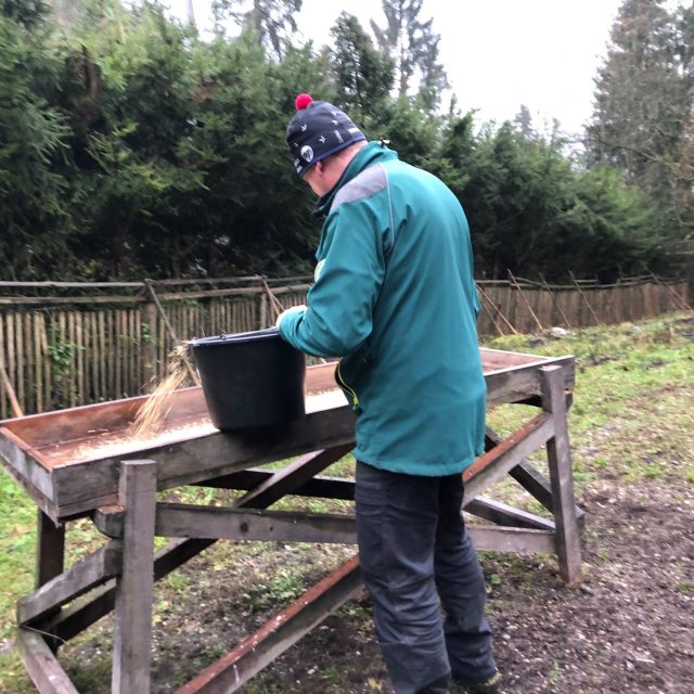 V Krkonoších se už jelení obůrky připravují na zimu | foto: Kateřina Kohoutová,  Český rozhlas