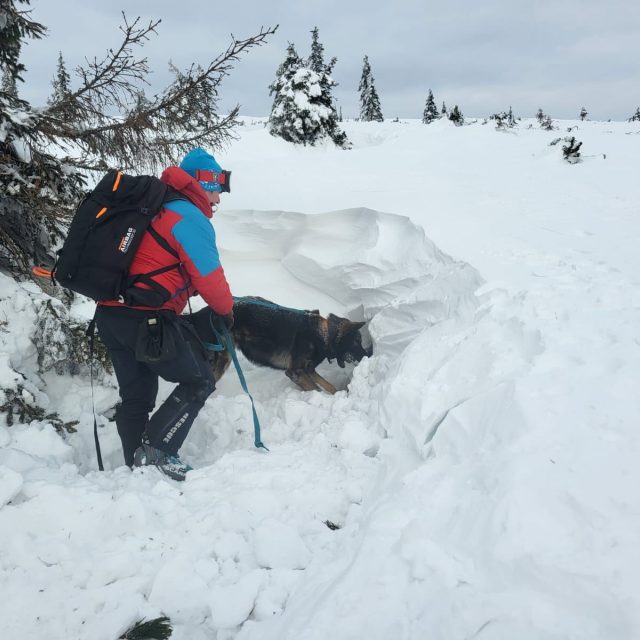 Mezinárodní lavinový a kynologický kurz na Richtrových boudách v Krkonoších | foto: tiskový servis HSČR