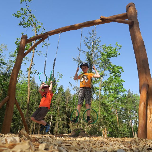 Hradecké městské lesy jsou oblíbeným místem pro výlety a toulky přírodou | foto: Městské lesy Hradec Králové a.s.