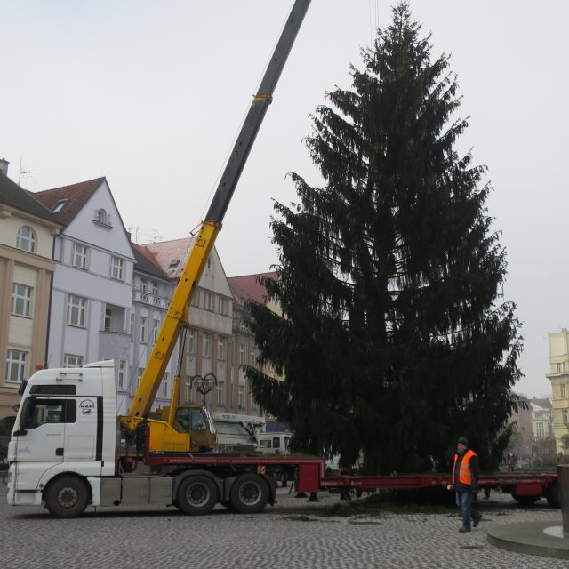 Přeprava a instalace vánočního stromu v Hradci Králové | foto: Milan Baják,  Český rozhlas