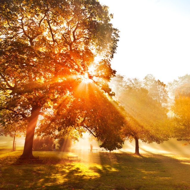 Podzim v parku | foto: Shutterstock