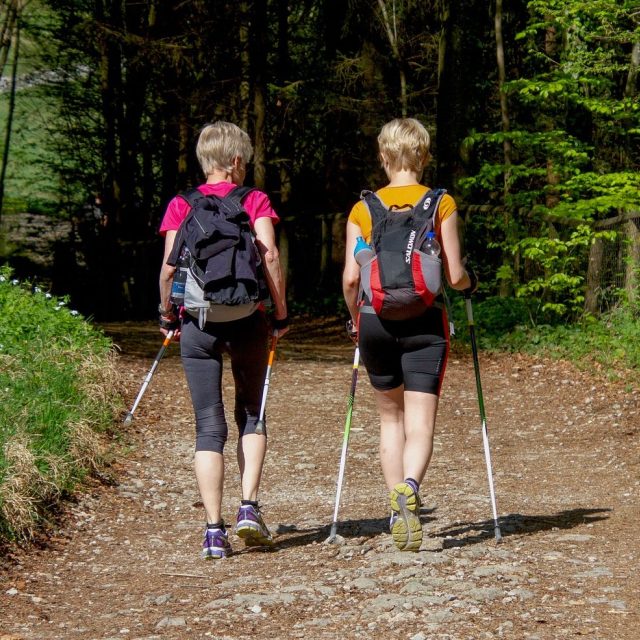 Posměšky neberte vážně,  nordic walking je dobrou cestou ke zdraví  (ilustrační foto) | foto: Fotobanka Pixabay