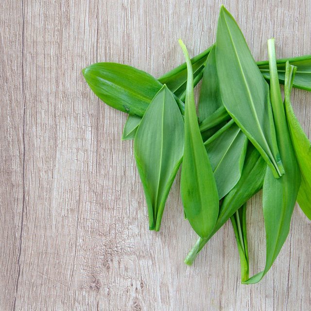 medvědí česnek | foto: Fotobanka Pixabay