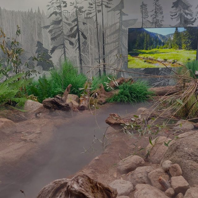 K nejoblíbenějším zastavením patří vodní toky Labe a Úpy. Skutečně tu proudí voda | foto: Vladislava Wildová,  Český rozhlas