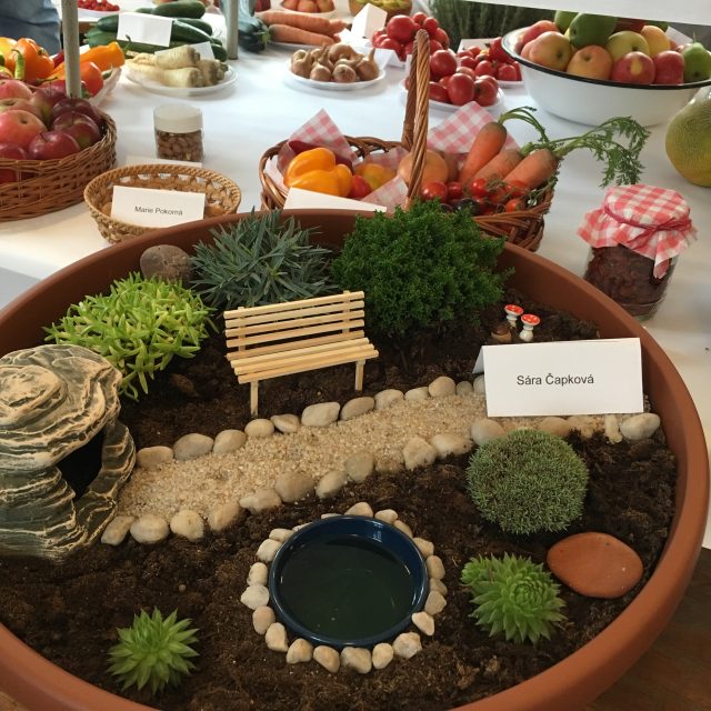 Zahrádkářská výstava ve Slatině nad Úpou | foto: Romana Joudalová,  Český rozhlas