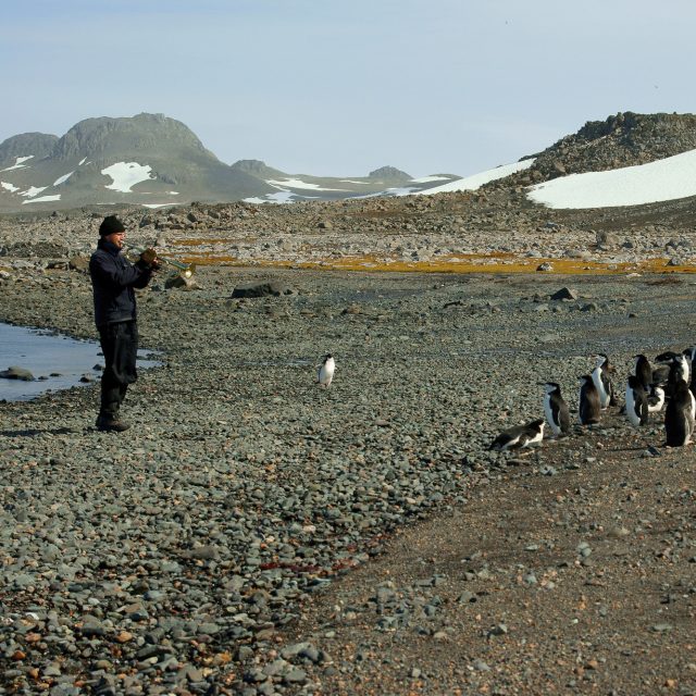 Václav Pavel hraje tučňákům na trubku | foto: Václav Pavel