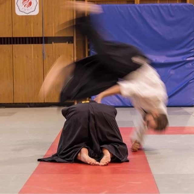 Aikido je bojové umění,  nikoliv sport. Učí člověka pohybu a ze soupeřů vytváří harmonický celek | foto: oddíl Aikido Hradec Králové