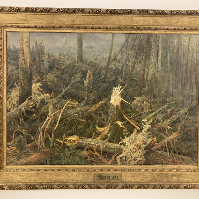 Tragedie lesa od Václava Březiny slaví 120 let | foto: Romana Joudalová,  Český rozhlas