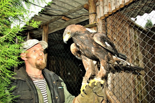 David Půhoný s orlem Pepanem | foto: Vladislava Wildová,  Český rozhlas