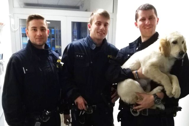Policisté vypátrali ukradené štěně | foto: Policie ČR