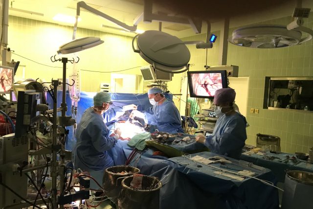 Miniinvazivní operace srdce | foto: Databáze Kardiochirurgické kliniky 