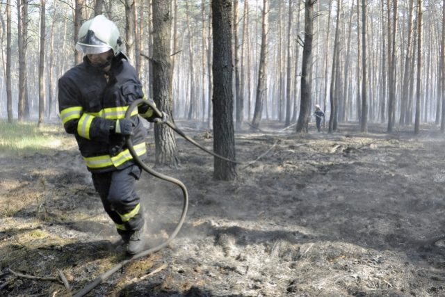 Hasiči dohašují lesní požár u Bzence | foto: ČTK