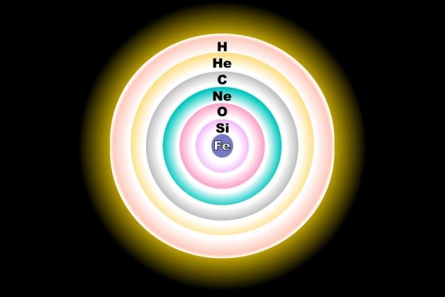 V jádru hmotné hvězdy probíhá jaderná fúze prvků až po železo. Před zhroucením má hvězda slupkovitou strukturu jako cibule. | foto: R. J. Hall