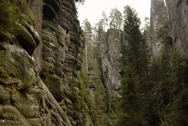 Vlčí roklí lze projít mezi Adršpašskými a Teplickými skalami | foto: Jiřina Šmídová,  Český rozhlas