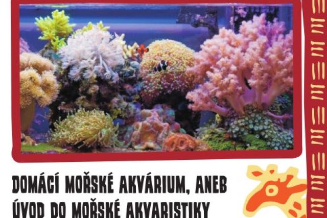 Mořské akvárium | foto: Jana Myslivečková,  Český rozhlas