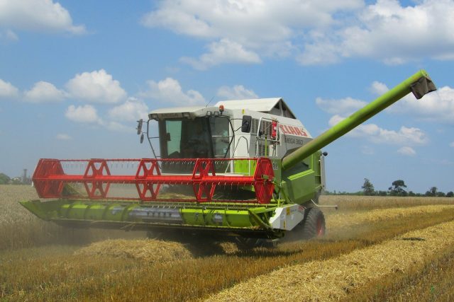 Na polích v Královéhradeckém kraji se sklízí obiloviny,  letos ale dozrávají později  (ilustrační foto) | foto: Fotobanka Pixabay