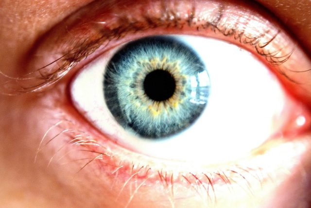 Šedý zákal  (katarakta) je oční onemocnění,  při kterém dochází k zakalení normálně čiré oční čočky  (ilustrační foto) | foto: Pixabay,  Licence Pixabay