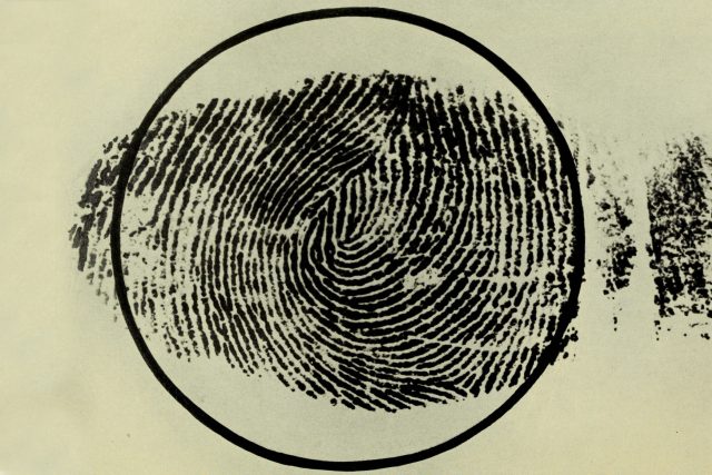 otisk prstu | foto: oficiální stránky Internet Archive,   No known copyright restrictions