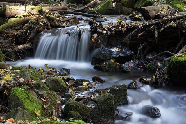 Potoky naši krajinu zkrášlují. Ubývá v nich ale voda?  (ilustrační foto) | foto: Fotobanka Pixabay