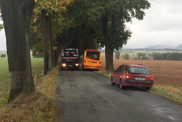 Unikátní alej víc než stoletých stromů komplikuje opravu silnice do Božanova na Broumovsku | foto: Václav Plecháček,  Český rozhlas