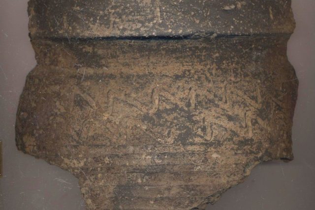 Překvapení a řadu nových informací přineslo archeologům další naleziště v Kostelci nad Orlicí | foto: Martina Beková